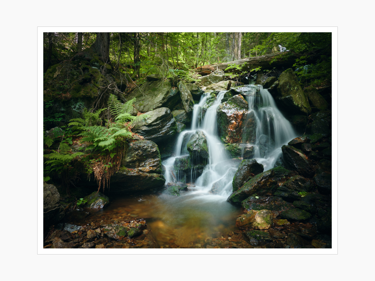 Max Schiefele Capture  DSF9215